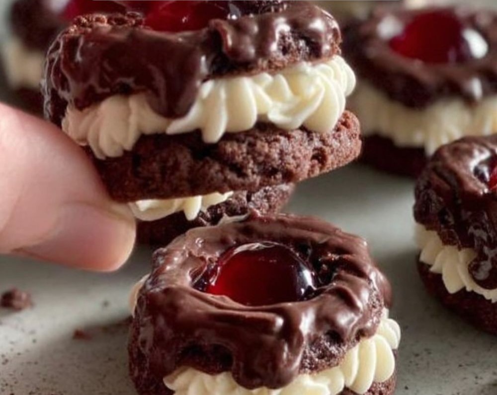 Easy Black Forest Christmas Cookies Ideas Prettiest Treats Gifts overview