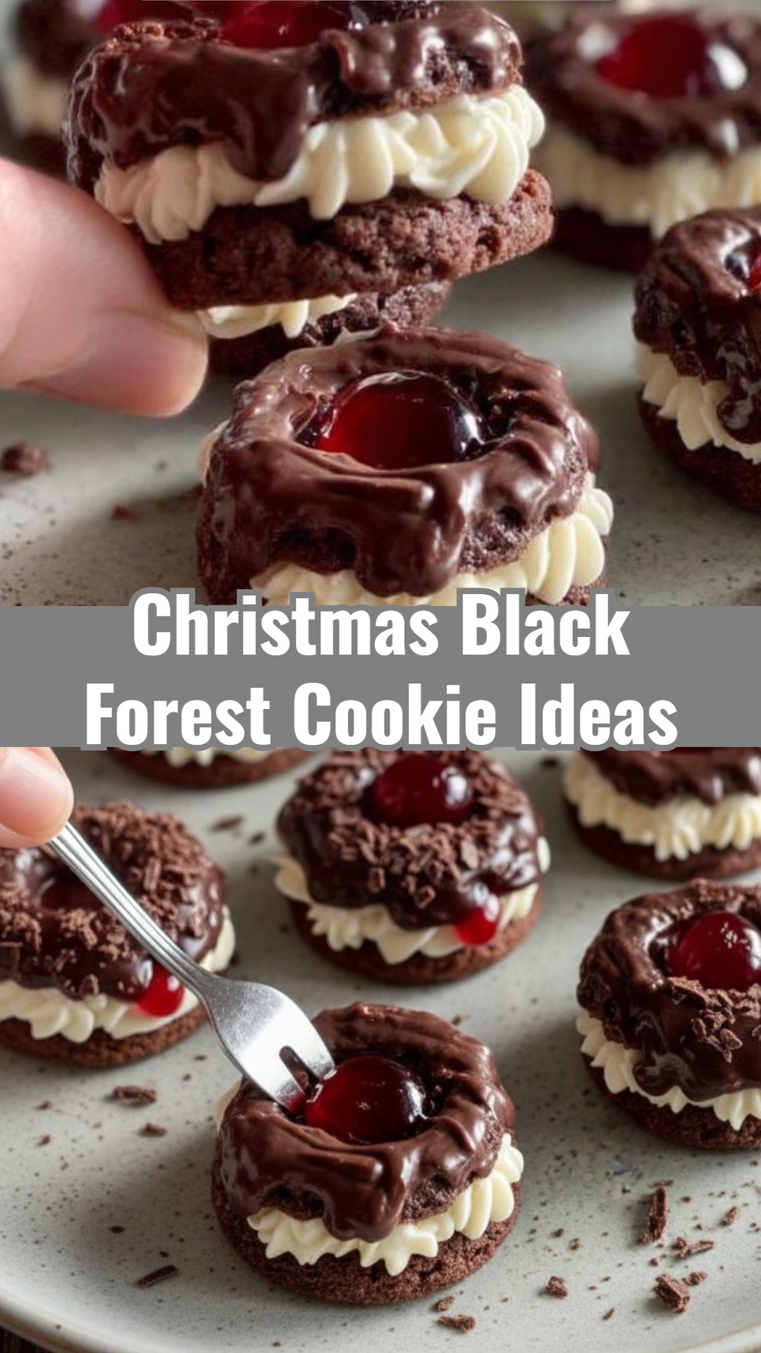 Easy Black Forest Christmas Cookies Ideas Prettiest Treats Gifts