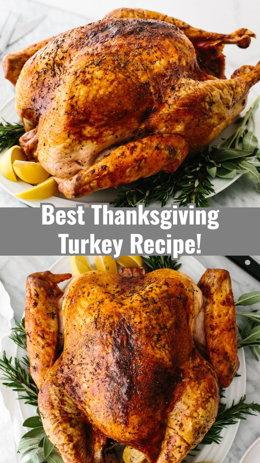 Easy Perfectly Roasted Thanksgiving Turkey Recipe