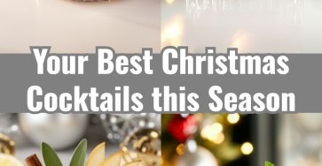 Easy Christmas Cocktails: Shots, Vodka Punch, and Creamy Eggnog Fun