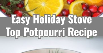 Easy Christmas Stove Top Potpourri Gift Craft Idea