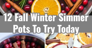 Easy Fall Winter Simmer Pot Recipes for a Welcoming Home