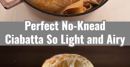Easy No-Knead Ciabatta for Family Dinners and Fun Lunches
