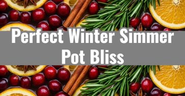 Easy Winter Simmer Pot Cranberry Orange Stovetop Potpourri