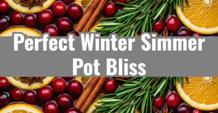 Easy Winter Simmer Pot Cranberry Orange Stovetop Potpourri