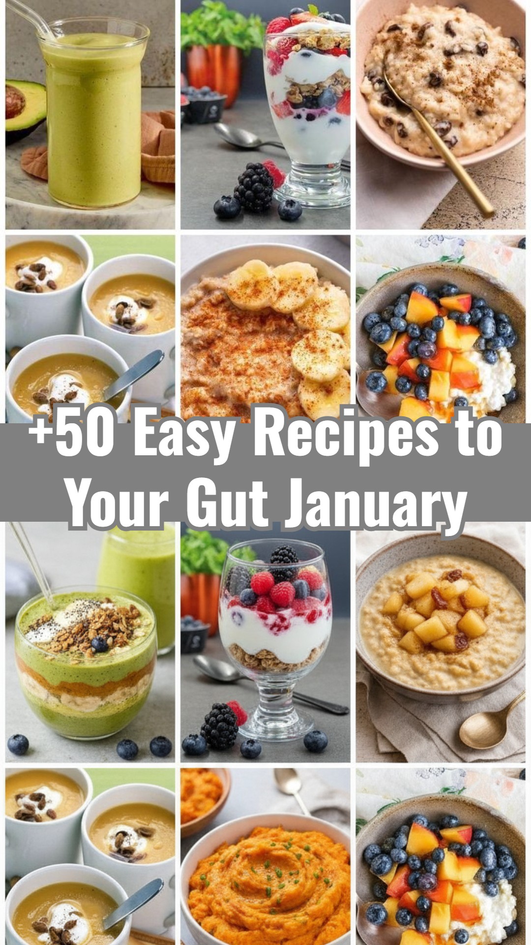 January Gut Health Reset: Easy High Fiber Meals for Wellness